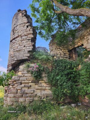 ربيع الأسوار