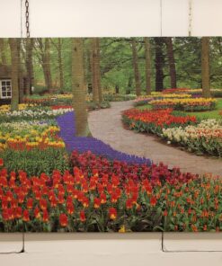 Alternative view of حين تتنفس الزهور حبّها