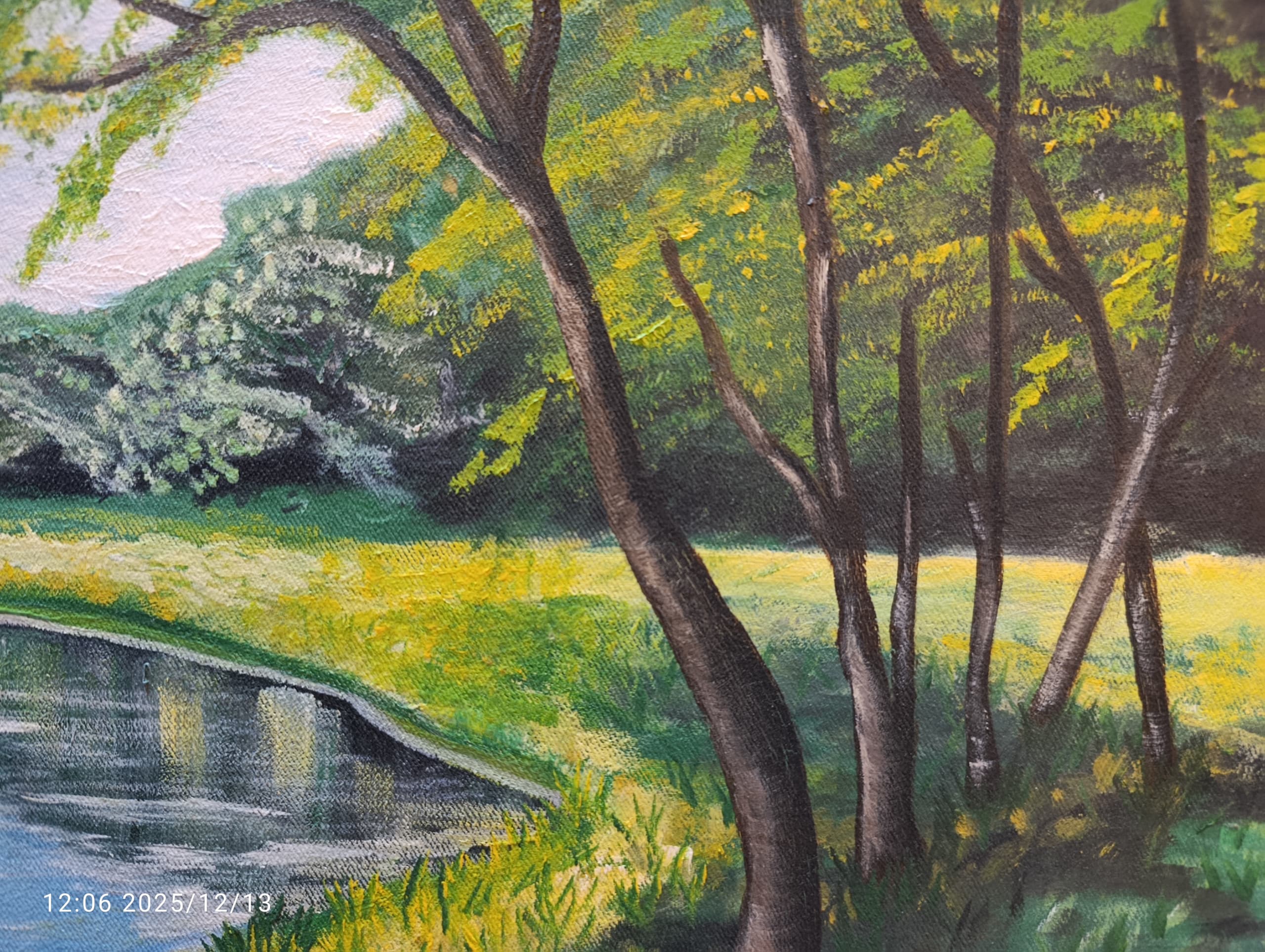 طبيعة - الصورة 4