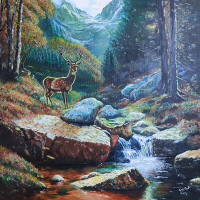 غزال في الغابة