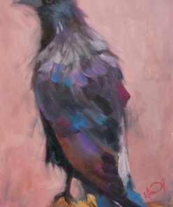 غراب (crow)