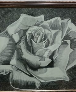 وردة دمشقية