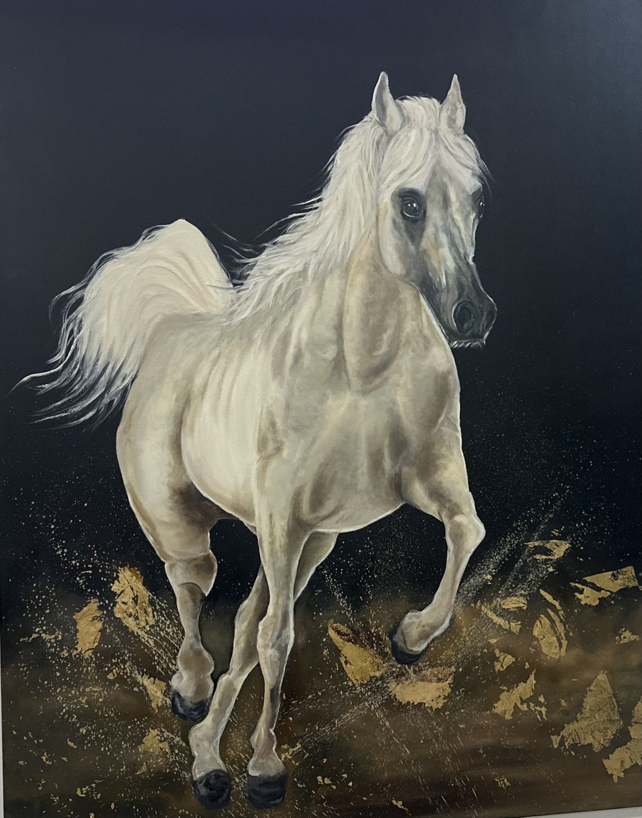 الخيل العربي الاصيل