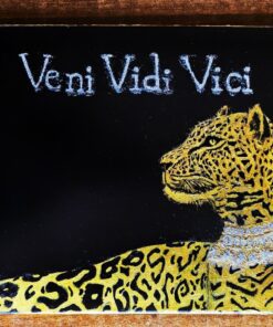 Veni Vidi Vici| (أتيت، رأيت، انتصرت)