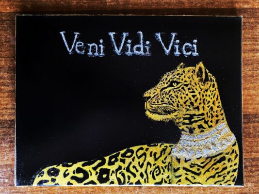 Veni Vidi Vici| (أتيت، رأيت، انتصرت)