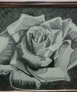 وردة دمشقية