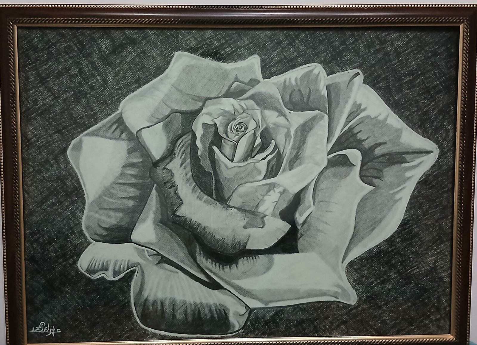 وردة دمشقية