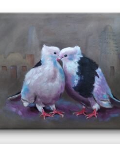 حمام Pigeon
