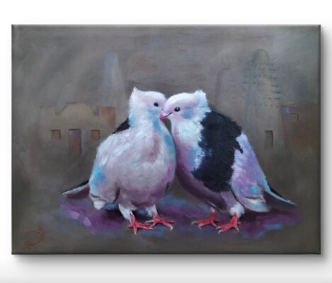 حمام Pigeon