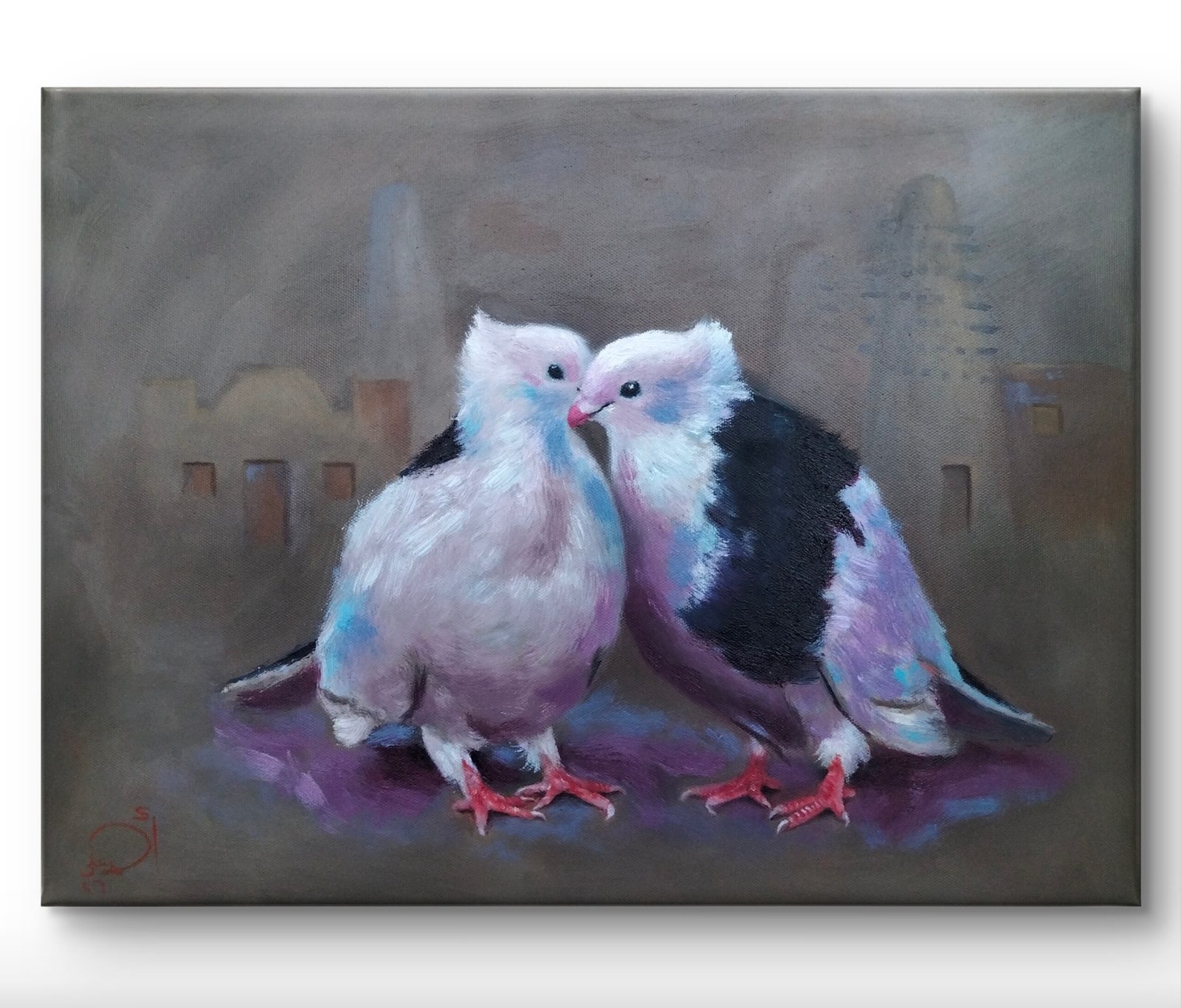 حمام Pigeon