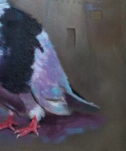 حمام Pigeon - الصورة 3