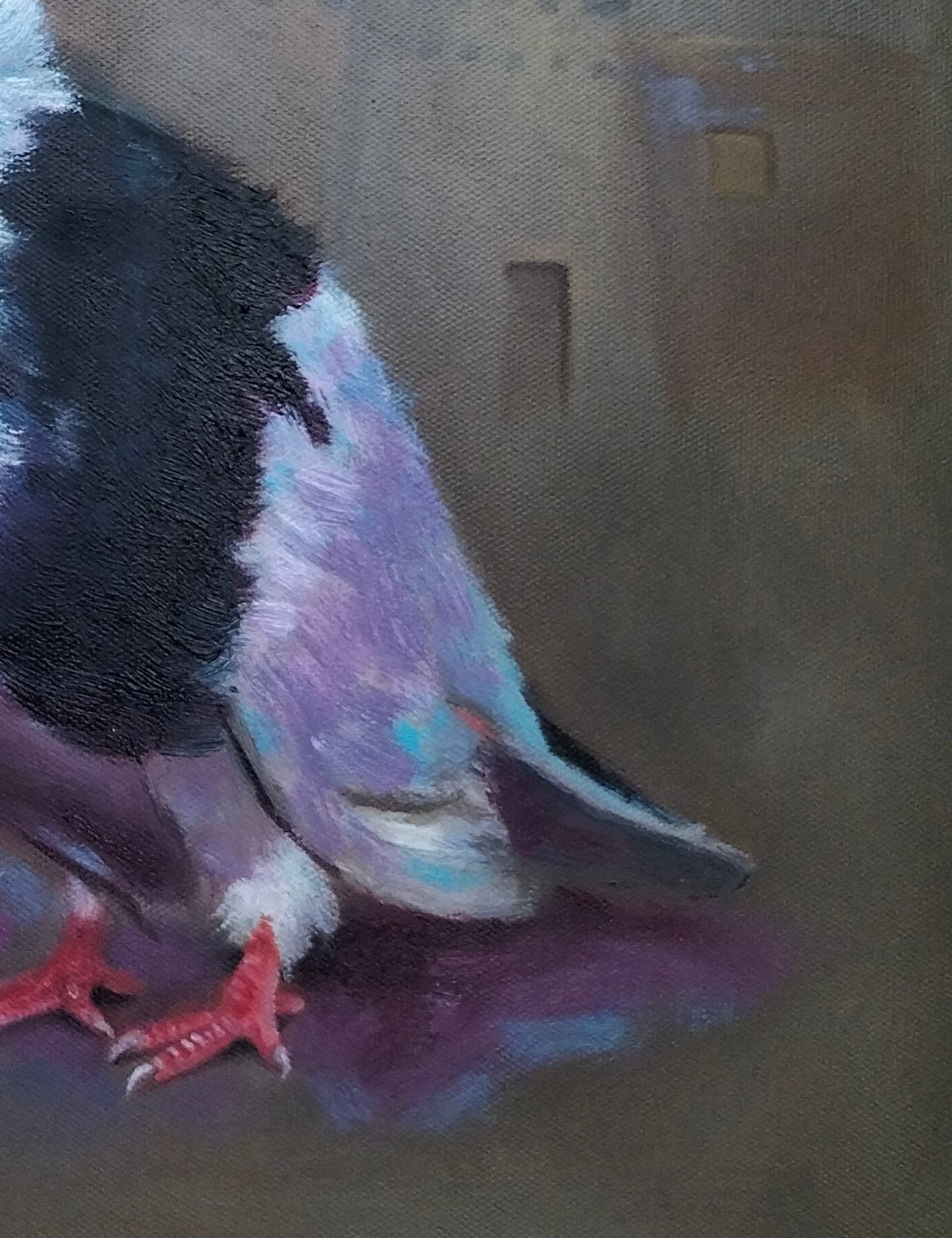 حمام Pigeon - الصورة 3