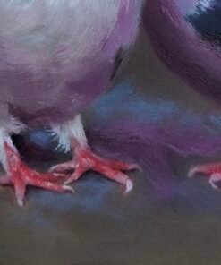 حمام Pigeon - الصورة 4
