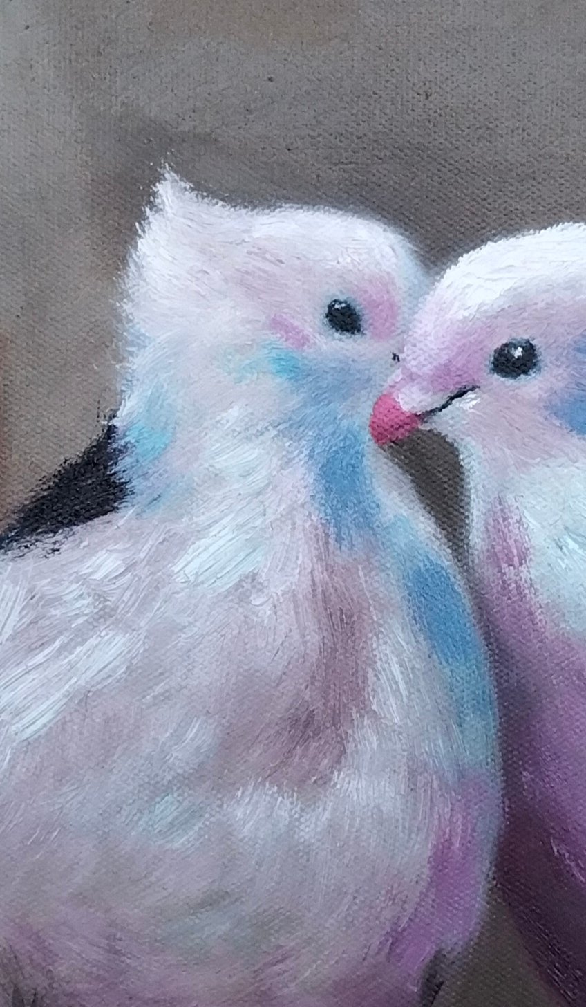 حمام Pigeon - الصورة 6