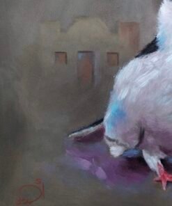 حمام Pigeon - الصورة 5