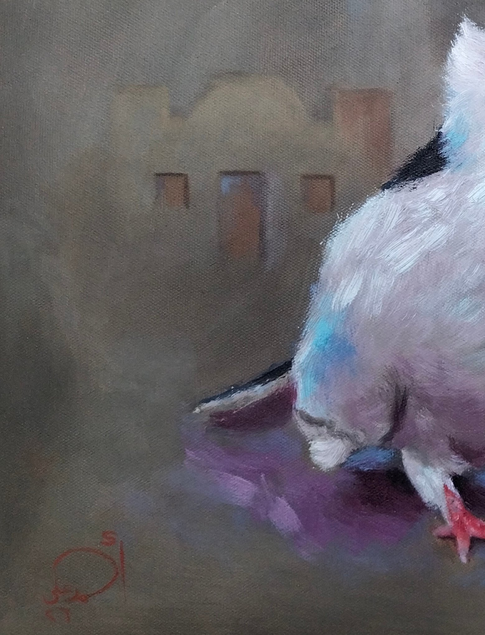حمام Pigeon - الصورة 5